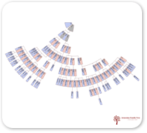 Fan chart