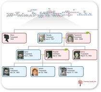 Picture pedigree tree